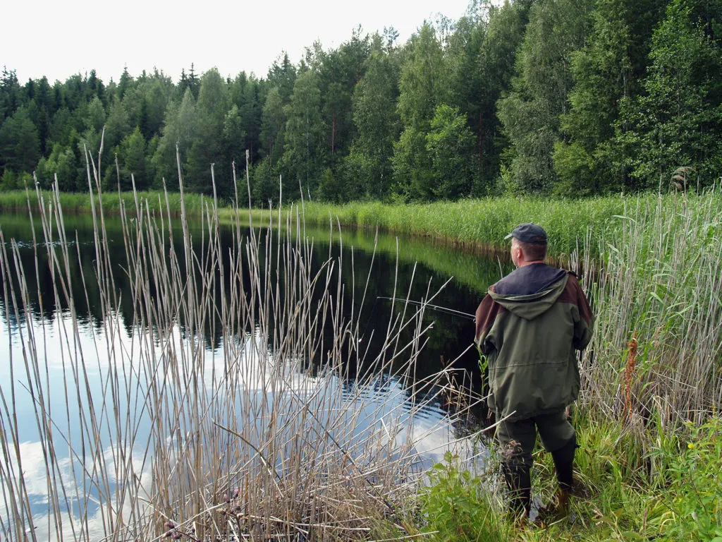 Tynkäjigit ovat ahvenen mieleen - Metsästys ja Kalastus